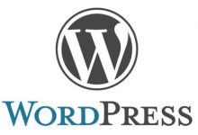 WordPress使用自定义字段在文章插入下载资源按钮 - 雪花测评