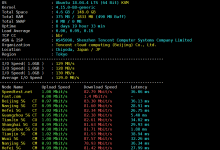 Linux服务器VPS云主机性能和带宽测试脚本汇总 - 雪花测评