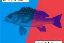 Wordpress 5.8中文版本Tatum正式发布! - 雪花测评