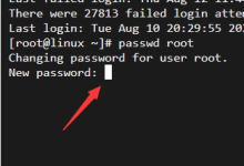 Linux系统通过SSH终端修改root账户密码 VPS如何修改密码? - 雪花测评