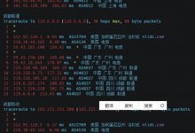 Linux测试服务器回程路由、去程路由在线工具/一键脚本分享 - 雪花测评