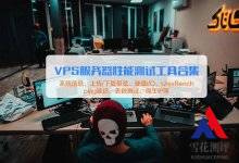 VPS服务器性能测试:系统信息、上传/下载带宽、硬盘I/O、UnixBench、ping、丢包测试、原生IP等 - 雪花测评