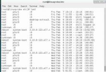 Linux系统如何查看用户登录日志?使用last命令显示用户最近连接信息-雪花测评