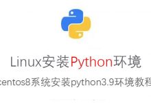 linux安装python环境:linux(centos8)如何安装python3.9-雪花测评