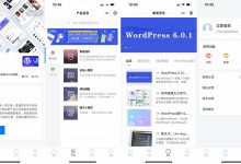 丸子企业官网增强版小程序首发附带安装教程 - 雪花测评