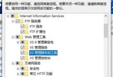 如何开启IIS服务?Windows系统开启IIS服务教程 - 雪花测评