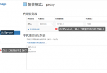 Chrome 谷歌浏览器设置 HTTP/Socks5代理科学上网 - 雪花测评