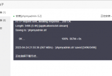 宝塔面板安装phpmyadmin访问提示405错误代码解决方法 - 雪花测评
